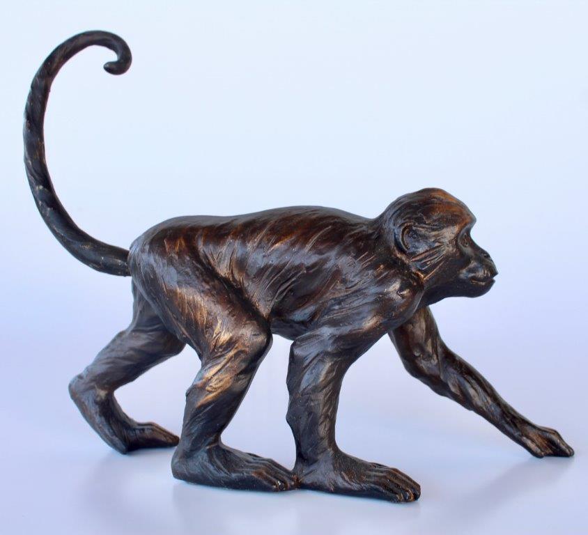 Monkey With Long Tail